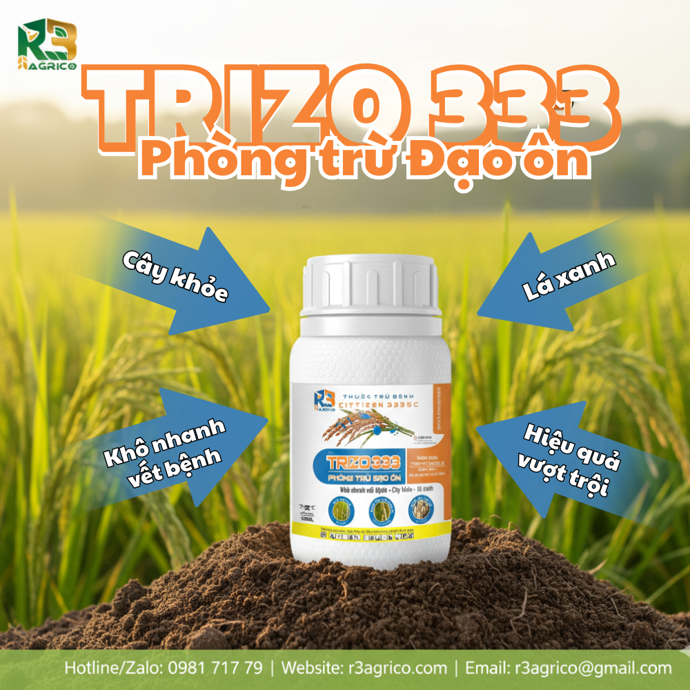TRIZO 333 – PHÒNG TRỪ ĐẠO ÔN