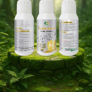 NANO ĐỒNG - TẨY NẤM - TẨY RONG RÊU