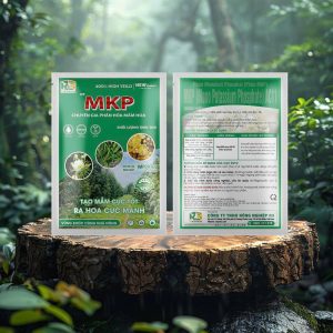 MKP - CHUYÊN GIA PHÂN HÓA MẦM HOA