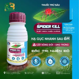 SPIDER KILL - ĐẶC TRỊ NHỆN ĐỎ