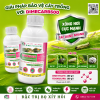 DIMECARB 500 - ĐẶC TRỊ BỌ XÍT HÔI